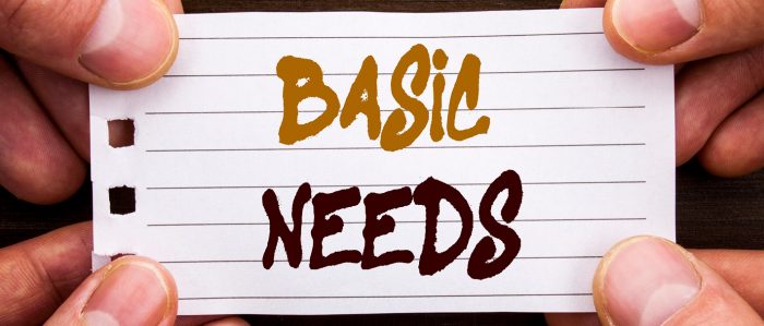Karteikarte mit der Aufschrift "Basic needs"