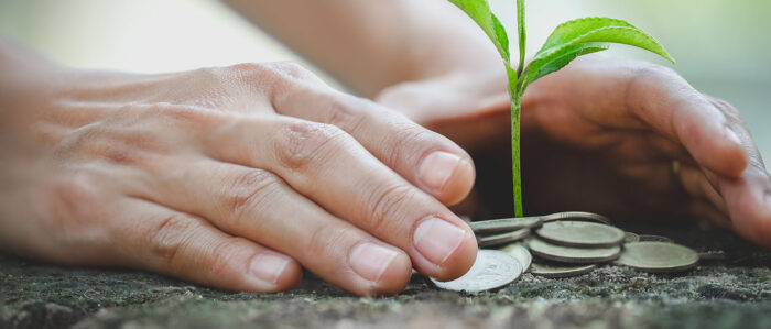 Hände legen sich schützend um einen Stapel aus Münzen aus dem eine kleine Pflanze sprießt.