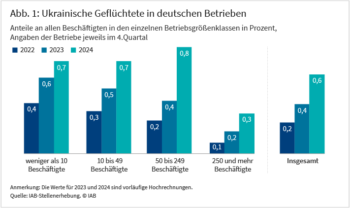 Die Abbildung zeigt den prozentualen Anteil von aus der Ukraine geflüchtete Personen an der Gesamtbeschäftigung der Betriebe in Deutschland in den Jahren 2022, 2023 und 2024. Sie zeigt in allen hier dargestellten Betriebsgrößenklassen einen deutlichen Anstieg. Berichten die Betriebe Ende 2024, dass aus der Ukraine geflüchtete Personen rund 0,6 Prozent ihrer Beschäftigung ausmachen, lag dieser Anteil im Jahr 2022 noch bei 0,2 Prozent. 