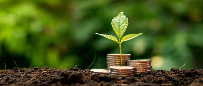 A seedling grows in the earth between stacks of coins of varying heights, with bright, blurred foliage forming the background.